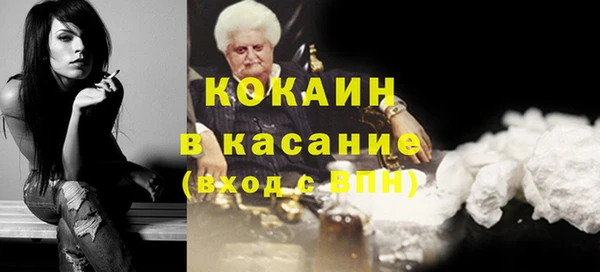 шишки Бронницы